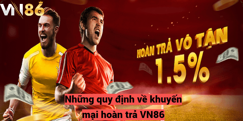 Những quy định về khuyến mại hoàn trả VN86