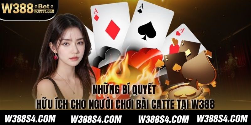 Những Bí Quyết Hữu Ích Cho Người Chơi Bài Catte Tại W388