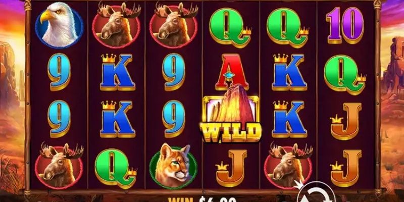 Kinh nghiệm từ chuyên gia game Buffalo King để bet thủ dễ thắng đậm